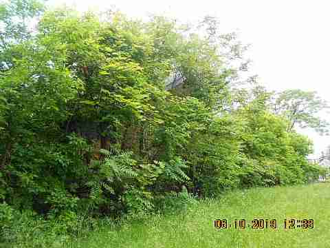 9727 Dundee (9)_m.jpg